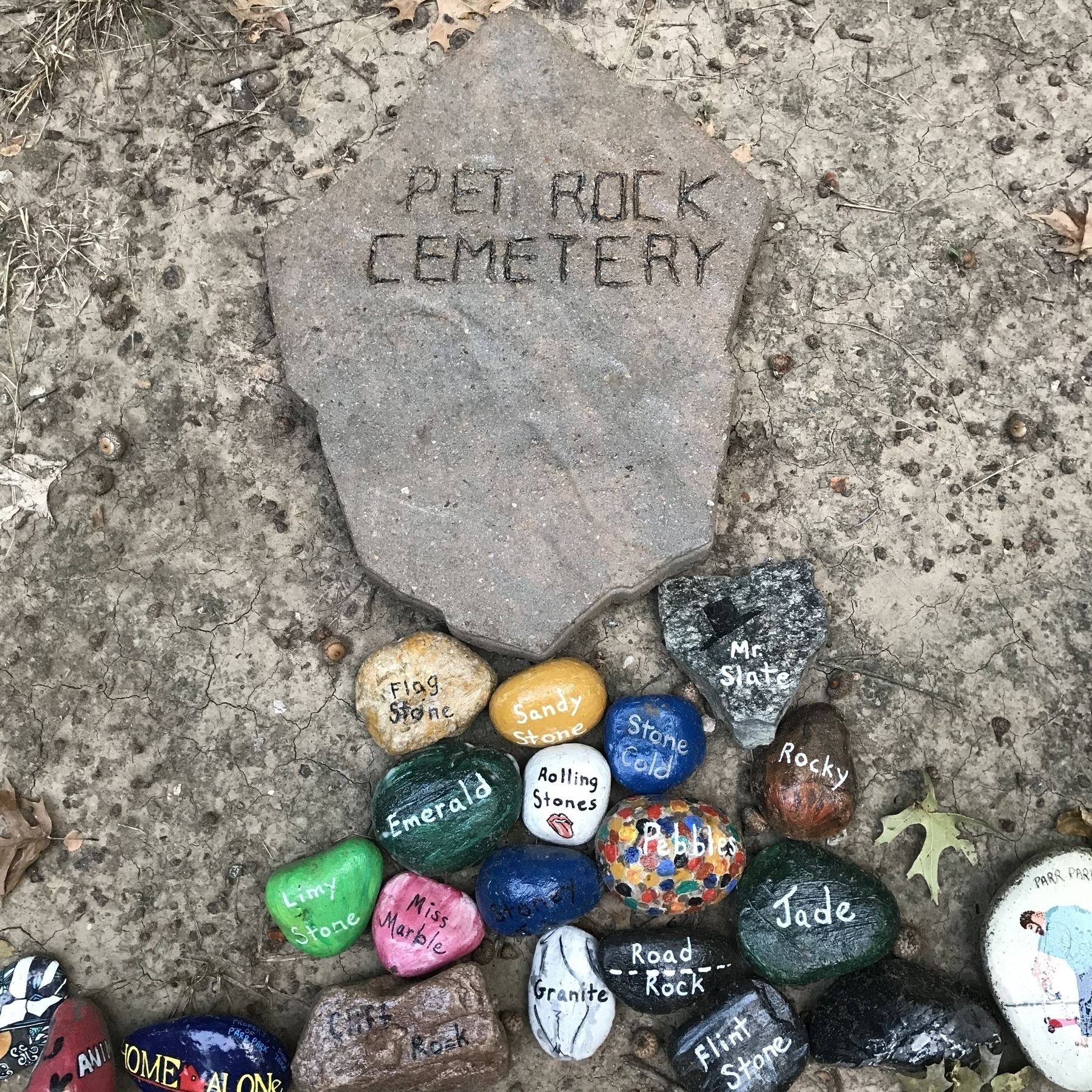 Pet rock cemetery at the Parr Park Rock Art Trail