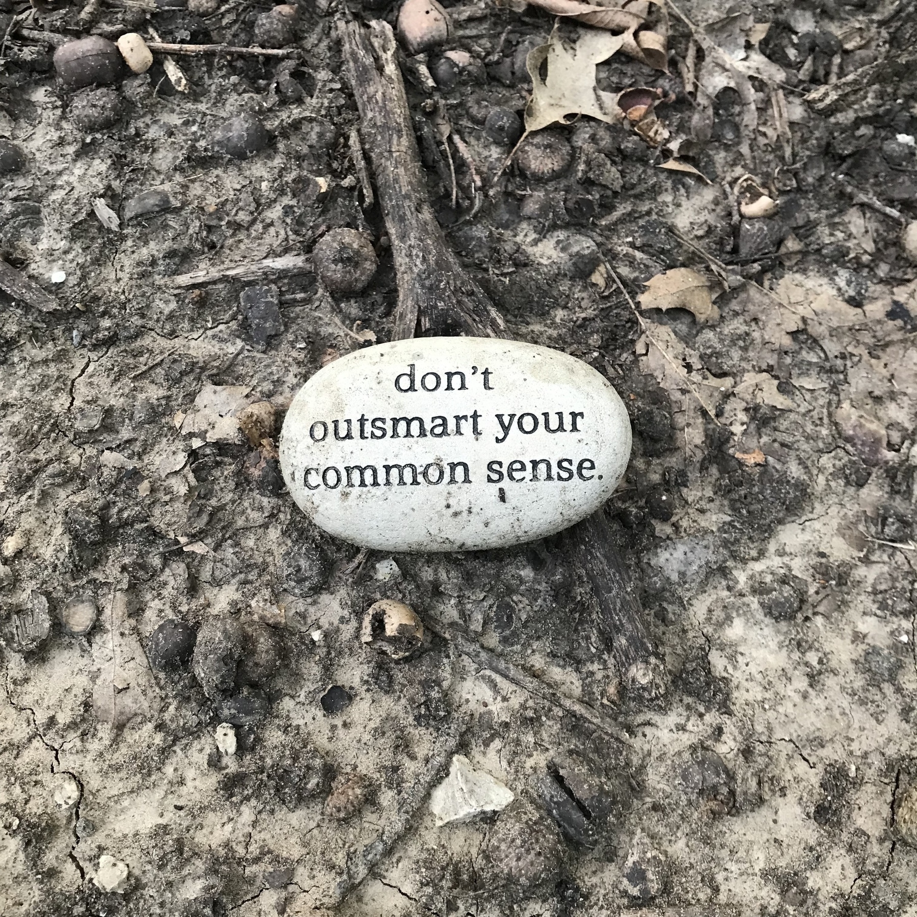 A rock at the Parr Park Art Rock Trail painted with “don’t outsmart your common sense”